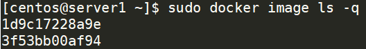 list docker image with only image id