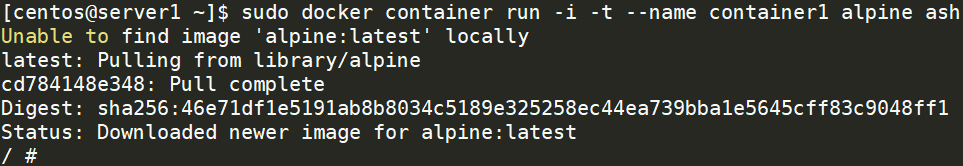 run docker image using alpine image