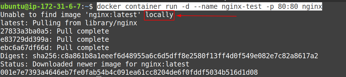 Docker Run Not Running Command