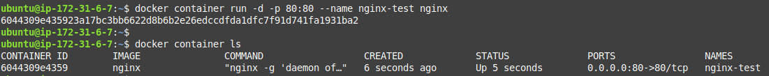 Start an nginx container