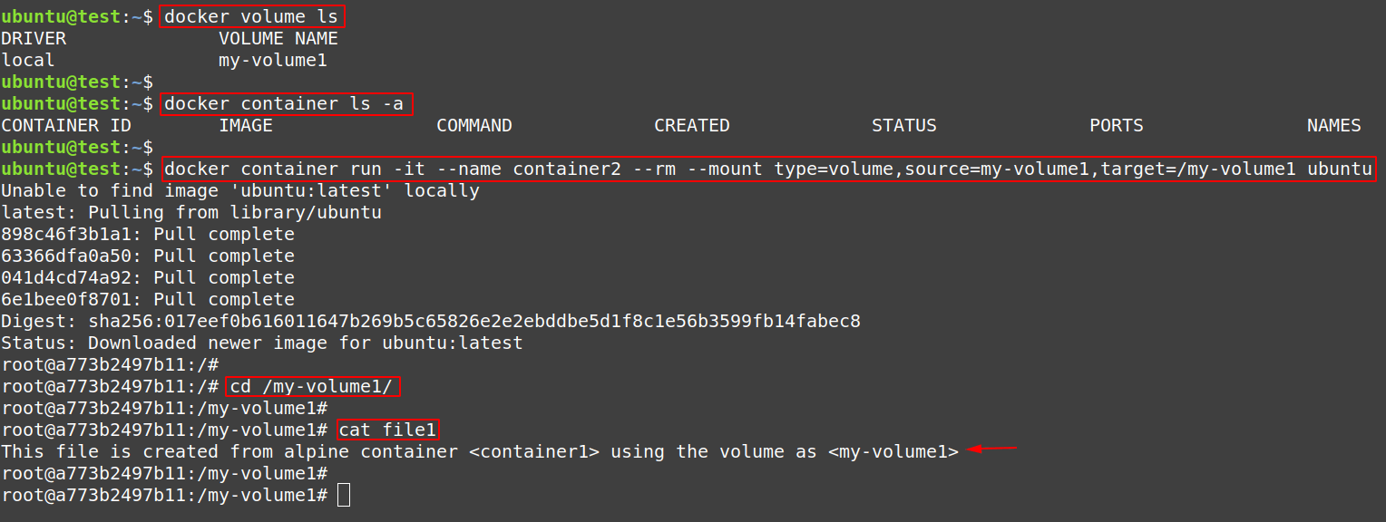 Check the contents inside a volume but with correct way using another container